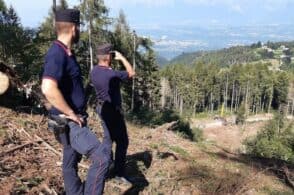 Biomasse, truffa da 200mila euro: cinque rinvii a giudizio