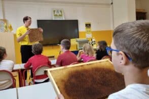 “Semi’nsegni”: alunni di Quero e Alano a lezione di apicoltura