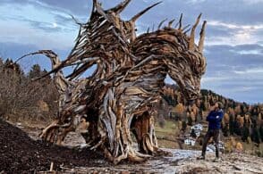 “Vaia diventa arte”: appuntamento con gli scultori che hanno trasfigurato la tempesta