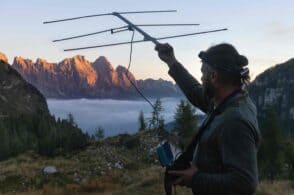 Parco delle Dolomiti: radiocollare alla femmina alfa del branco di lupi