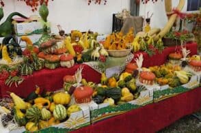 Sagra della zucca: un weekend di sapori bellunesi