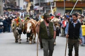 “Se desmonteghea”: dalla sfilata degli animali alla cultura 