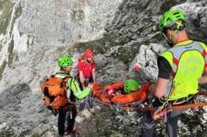 Giovane boscaiolo travolto da una pianta: arriva il Soccorso alpino