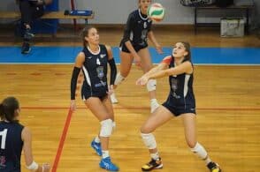 Feltre festeggia al debutto in coppa: ko la Pallavolo Belluno