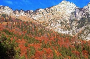 L’incanto del foliage: «Il nostro territorio è una tavolozza di colori»
