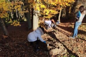 “Giornata degli alberi”, Belluno e Feltre festeggiano coi più piccoli