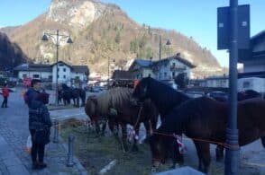 Dalla fiera del bestiame al mercatino km0. È il fine settimana di Sant’Andrea