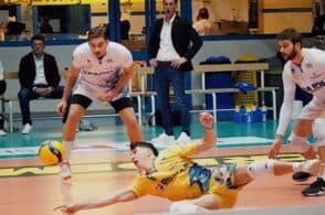 In Emilia non si passa: rinoceronti piegati anche dalla Geetit