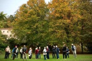 “Boschi a Natale”: visite guidate al Parco della Vena d’Oro