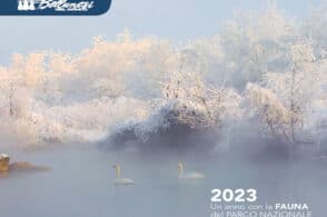 Il calendario Abm dedicato ai 30 anni del Parco Dolomiti bellunesi