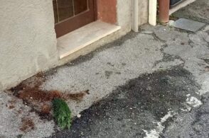 Vandali in azione a Borgo Piave: «Episodi che continuano a ripetersi»