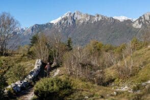 Cammino Sospirolese Trail: sono aperte le iscrizioni all’evento