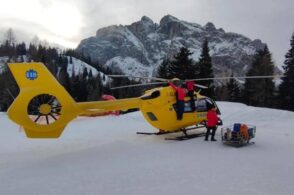 Falco torna a casa. Ma per volare di nuovo serviranno altre verifiche