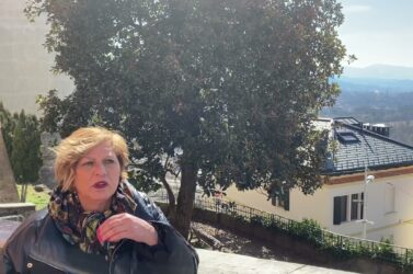 Belluno, manutenzione verde: partono informativa e controlli