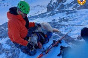 Ruzzola per mezzo chilometro, il cane Lucky salvato dal Soccorso alpino