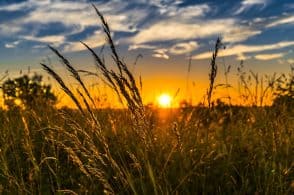 Earth day, l’agricoltura investe sul suolo e sulla sostenibilità