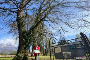 11 alberi monumentali nel capoluogo, installate le tabelle identificative