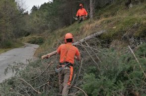 Prevenzione incendi grazie a pulizia e taglio della vegetazione