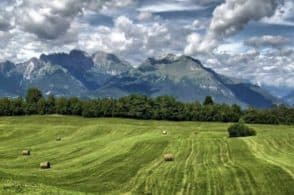 Programma di sviluppo locale: due incontri del Gal Prealpi e Dolomiti