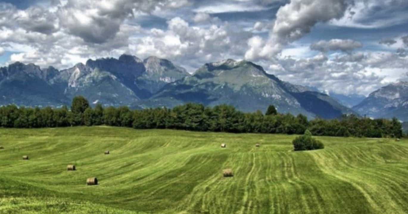 Programma di sviluppo locale due incontri del Gal Prealpi e Dolomiti
