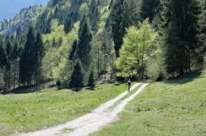 Un centinaio di appuntamenti per portare le famiglie al Parco