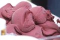 Miglior gelato d’Argentina, tra i giurati anche Antonio Mezzalira per Longarone Fiere