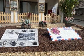 L’incanto dell’Infiorata di Igne: il paese trabocca di colori