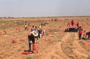 Dal Senegal al Ruanda: “Insieme si può…” combatte la piaga della fame