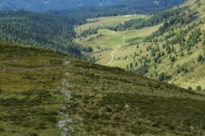 Tra Comelico e Austria: un sentiero per riscoprire antichi confini