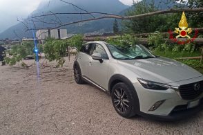 Esce dal lavoro e si trova l’auto sfondata da un albero