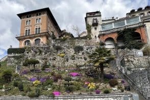 Gara di fiori, nasce il Contest per il miglior balcone