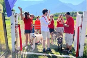 Inaugurata la piscina per i cani: «È anche luogo di socialità»