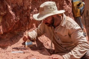 “Scavando nella storia”, arriva il paleontologo per parlare di dinosauri