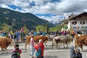 Autunno, tempo di desmontegada. Due giorni di festa con mercatini e sapori di malga