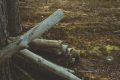 Malore fatale: muore mentre taglia la legna nel bosco