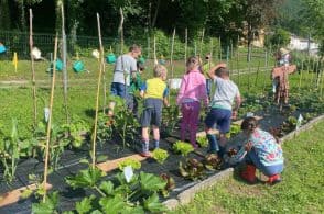 “Progetto orto”: i bambini coltivano, curano e raccolgono