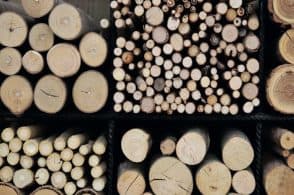 Legno, innovazione e rilancio: 1,5 milioni per il futuro della filiera bellunese