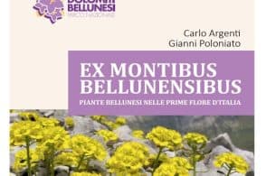 Le piante bellunesi nelle prime Flore d’Italia. Ne parla il nuovo libro del Parco