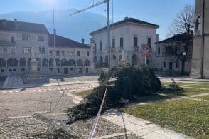 Abbattuto l’albero di Natale in Piazza Maggiore