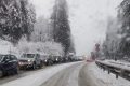 Neve e viabilità, è caos sulla Alemagna