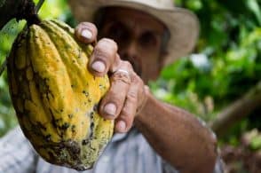 Diritti umani e cacao, è il Carnevale di Insieme si Può 