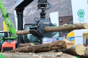 La sostenibilità della montagna nella valorizzazione del patrimonio boschivo