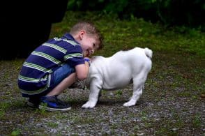 Cani e bambini, il 5 maggio la festa al Parco Città di Bologna