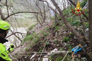 Capretta rimane bloccata tra le rocce, la salvano i pompieri