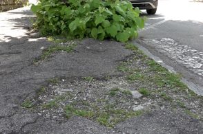 Al via la raccolta firme per una Via Feltre più sicura