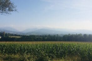 Nuovi vigneti, monta la preoccupazione dei residenti