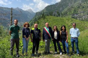 Bosco nuovo per dimenticare Vaia