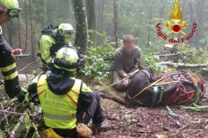 Mucca finisce in un dirupo, la salvano i pompieri con l’elicottero