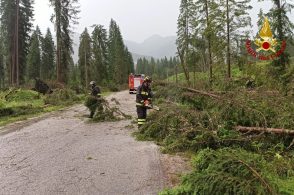 Un’ora di maltempo: frane e alberi sradicati