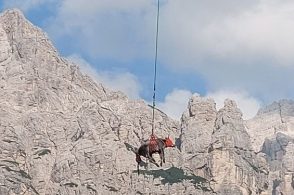 La mucca ha bisogno del veterinario, i pompieri la spostano con l’elicottero